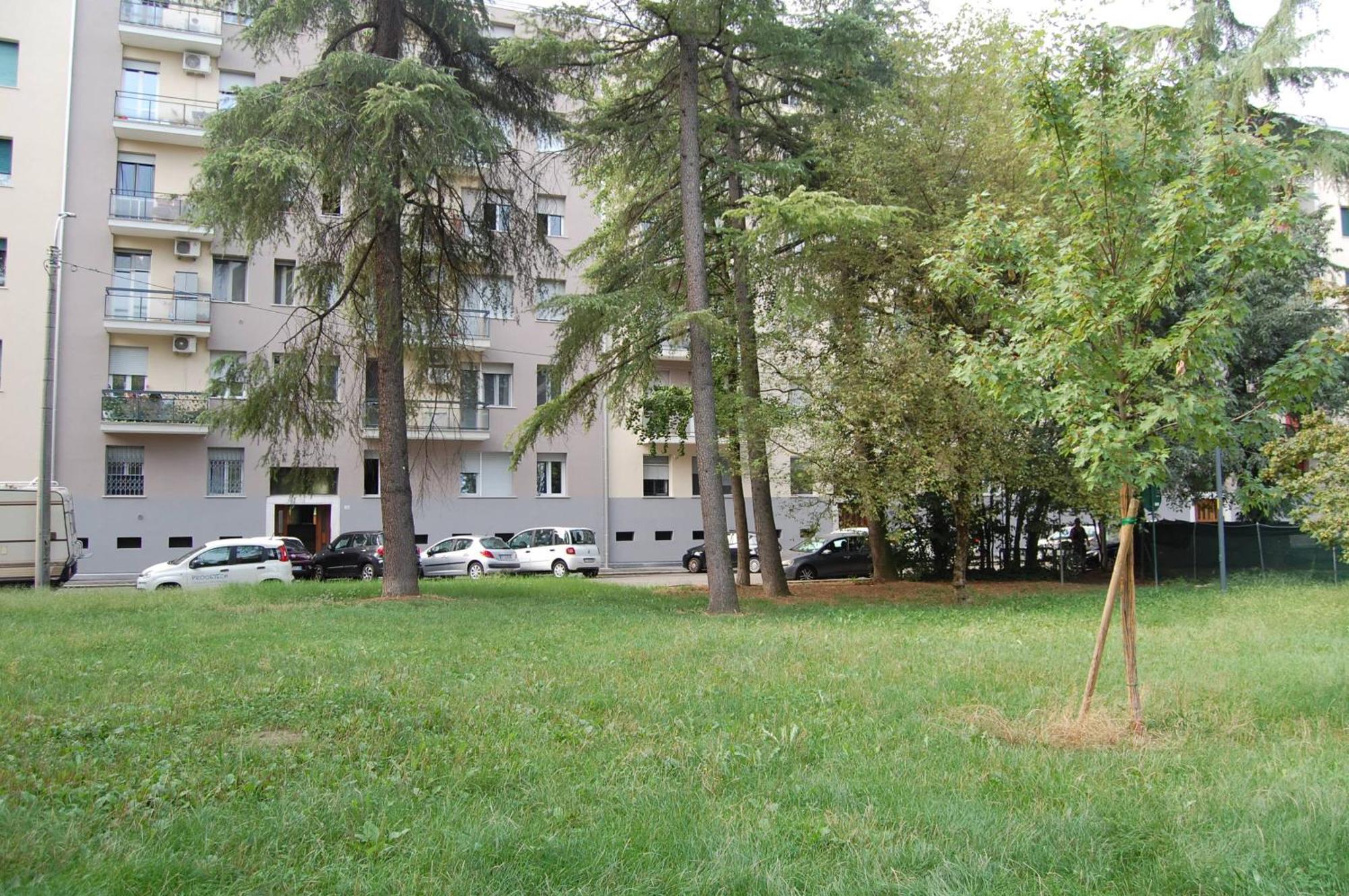 Orchidea, Bologna